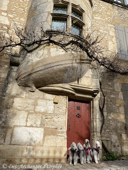 Vézelay - patrimoine mondial de l'Unesco