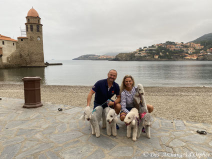 Collioure