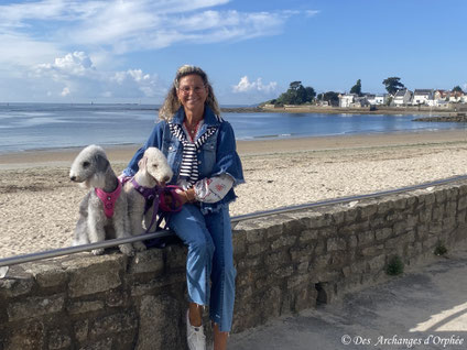 Larmor Plage