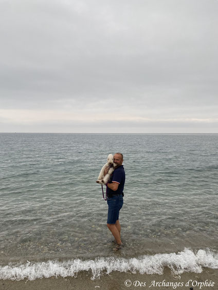 Argeles-s/-Mer - plage du Racou