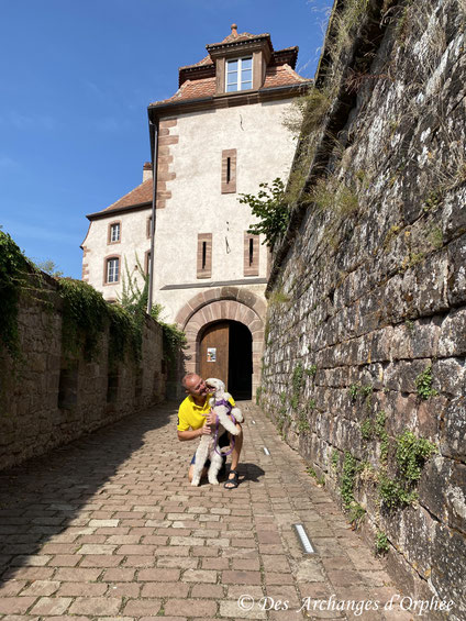 Chateau de La Petite Pierre 