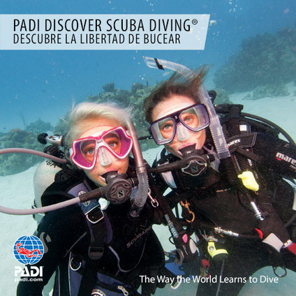 Cursos Padi en Cuba