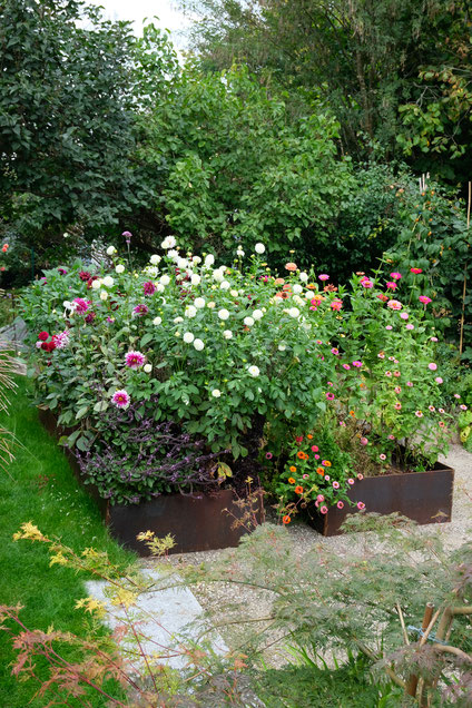 ddieartigeGARTEN // August Garden - high beds / Knie-Hochbeete - Spätsommerblüten