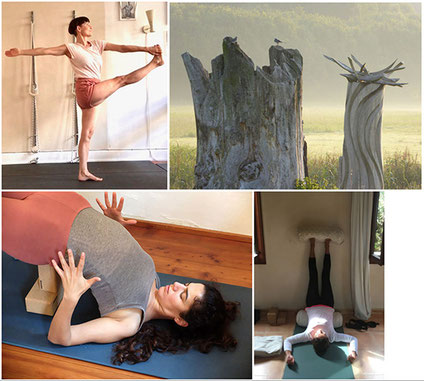iyengaryogaworkshop,YogaChristineBader,iyengaryogaseminare,yogawochenende,yogaretreat,yogaurlaub,iyengaryogaretreat,iyengaryoga,yogaauszeit,kranichmoor,pranayama,erholung