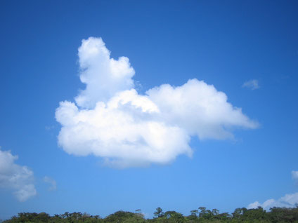 ミッキーマウスの雲