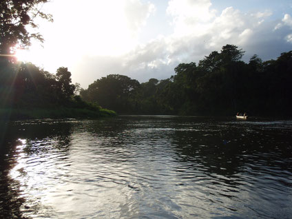 Rio Platano （バナナの川）
