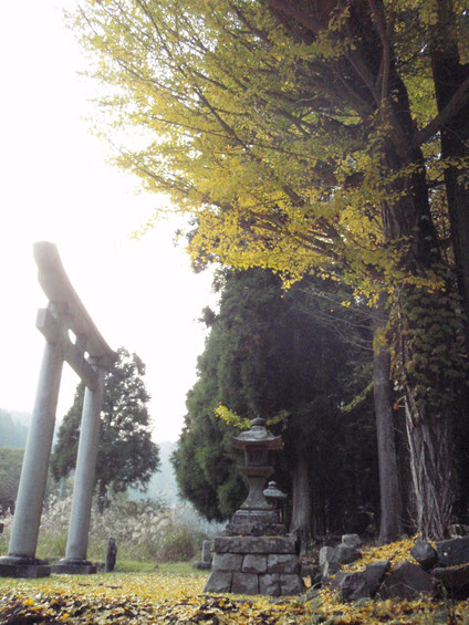 イチョウの大きな木のある山神神社。