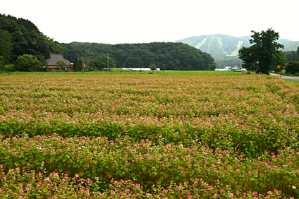 　　ひろしまフォト歩き
