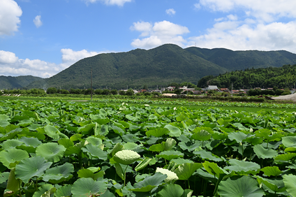 　　ひろしまフォト歩き