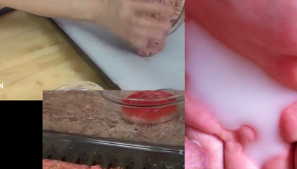 milk.scar.fleisch (2015), still from video with sound, looped 