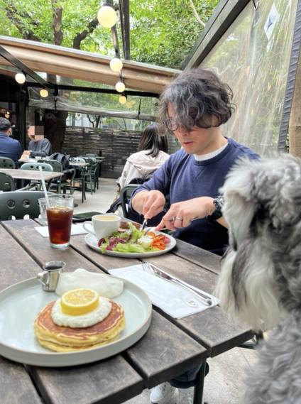 鎌倉犬同伴カフェ