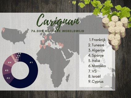 Waar komt Carignan vandaan? Aantal hectare per land.