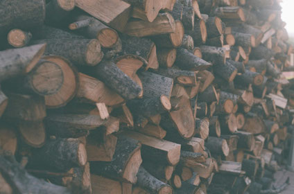  Klimapositive Energiegewinnung aus Holz