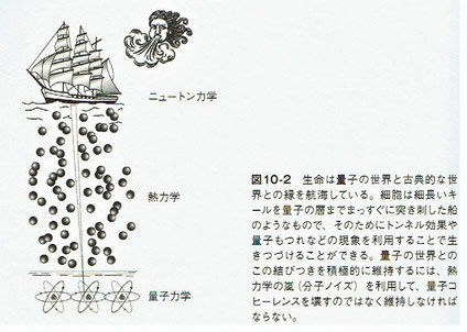 生命は量子の世界と古典的な世界との縁を航海している