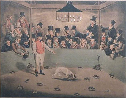 Billy, the rat-killing terrier. Coloured engraving from The Kennel Club’s Art Collection Catalogue. With caption: “The Phenomenon of the Canine Race, and Superior Vermin killer of his day having killed nearly 4,000 rats in about Seven Hours.”