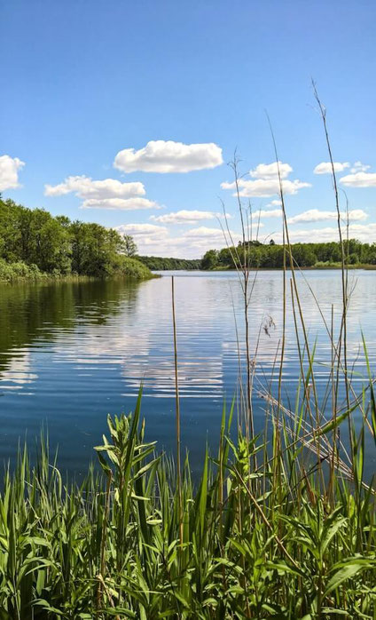 Ein wunderschöner See im Sommer