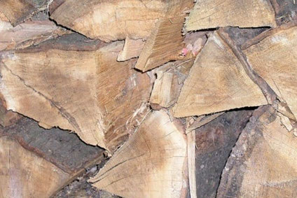 Das Scheitholz muss gelagert werden und eine möglichst geringe Restfeuchte aufweisen. Kaminholz, Ferienhaus, Einfamilienhaus, Wohnhaus, Immobilien, Haus, Rauchmelder, Kamin, Sicherheit, Sauna, Eigenheim, Heizen, Feuerlöscher, Brandschutz, Schornstein