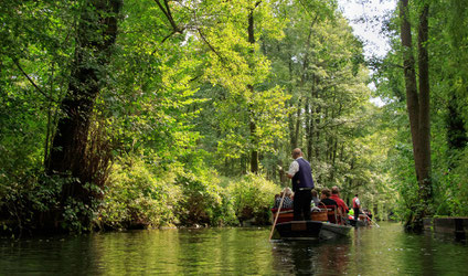 Spreewald ©Herbert Aust
