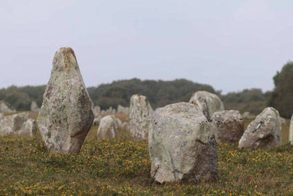 Menhire bei Carnac