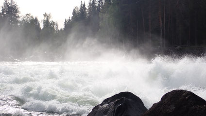 Bild: Storforsen