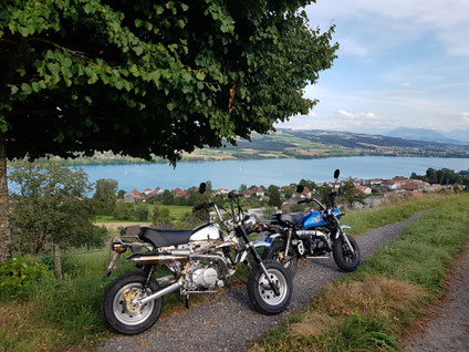 Minibike Le Mans Skymini Skyteam blau blue chrom Honda Gorilla Honda Monkey Honda Dax