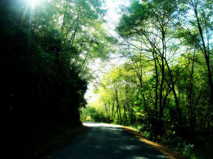 Passeggiata Meditativa 2011 - Meditative walk 2011