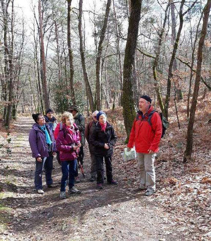 que pensez vous de la balade en forêt ?