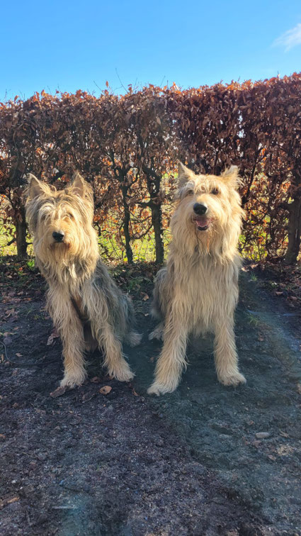 Buffy und Sal