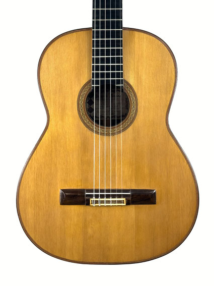 Gerardo Lozano   - classical guitar  