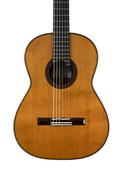 Philip woodfield guitar for sale online