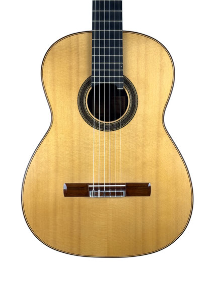 Paco Santiago Marin - classical guitar  