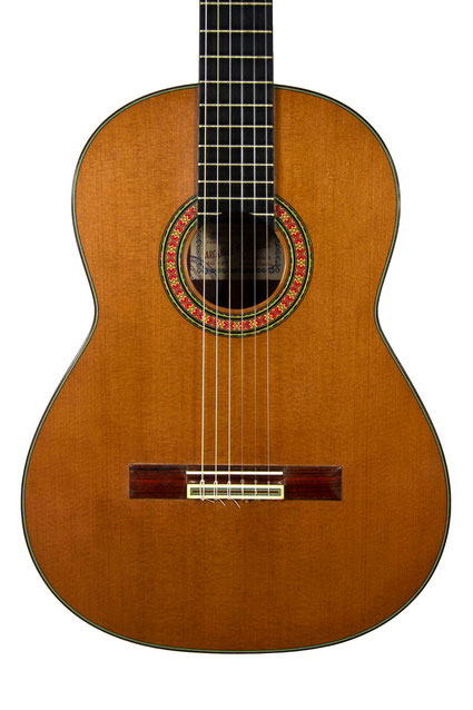 Marcelo barbero guitar hot sale