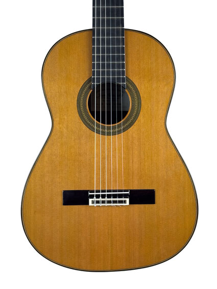 Dieter Müller- classical guitar  