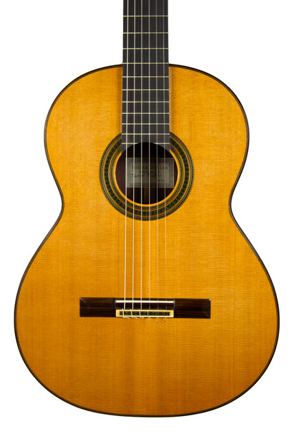 Dieter Müller- classical guitar  