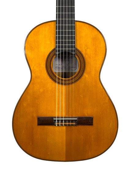 Hugo Robles - classical guitar  