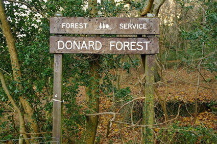 ドナード山への代表的な登山口の一つ「Donard Forest(ドナードの森)」の入り口。