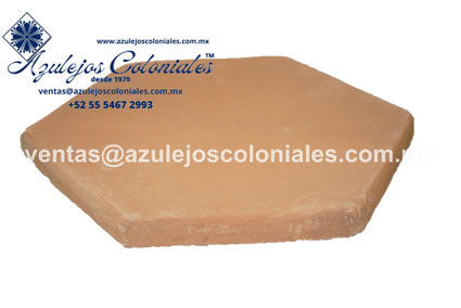 <img src="Loseta de barro Claro Hexagonal al Natural.jpg" alt=" Loseta Hexagonal de Barro Claro al Natural hecha en México 100% a mano" />
