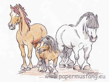 Warmblut, Pony, Kaltblut, 2007