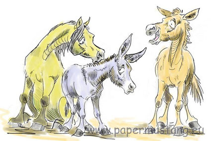 Pferd + Esel = Muli