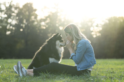 Photographe canin lyon toulouse quentinrphotos