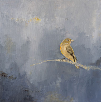 Vogel 30x30cm acryl op canvas 2024 (Privé collectie Hamburg Germany)