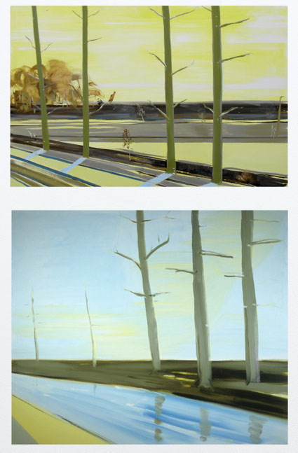 Boven: Zonder titel 80x120cm olie op canvas 2000 (Privé collectie) Onder: Spiegeling in stromend water 85x100cm olie op canvas 1998 (Collectie Uitleencentrum Beeldende Kunst Utrecht Nederland). Basisstipendium, Fonds voor Beeldende Kunsten Vormgeving en B