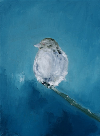 Bird in Winter 40x30cm acrylic on canvas 2026 (Privé collectie Verden Duitsland)