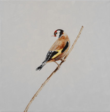Putter op een tak 30x30cm acrylic on canvas 2025 (Privé collectie Luxembourg L)