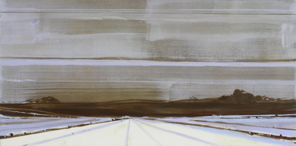 Zonder titel (landschap) 65x130cm acryl op canvas 2004 (Privé collectie Wenen Oostenrijk)