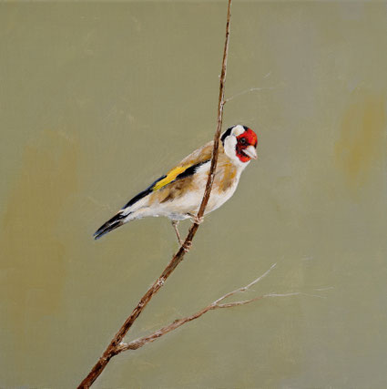 Distelvink (Goldfinch) 40x40cm acryl on canvas 2026 (Privé collectie Riyadh Saudi Arabia)