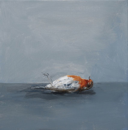 Dead Robin 40x40cm acrylic on canvas 2026