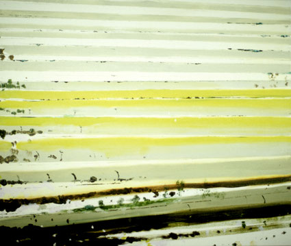 Potatoesfield, Groningen 105x125cm olieverf op canvas 1998 (Collectie Kunstuitleen Museum Het Kruithuis Den Bosch). Basisstipendium, Fonds voor Beeldende Kunsten Vormgeving en Bouwkunst Amsterdam 1999