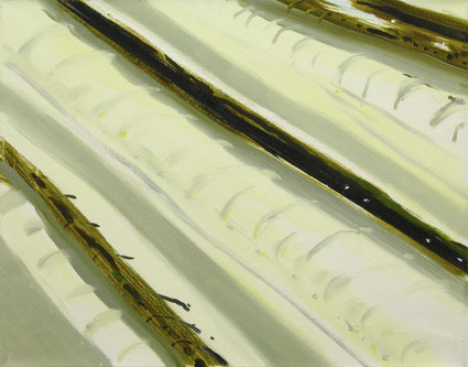 Ploegvoren 39,5x49,5cm olie op canvas 1999