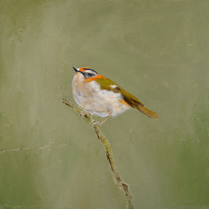 Vuurgoudhaan 40x40cm acryl op canvas 2025 (Privé collectie Bergamo Italië)